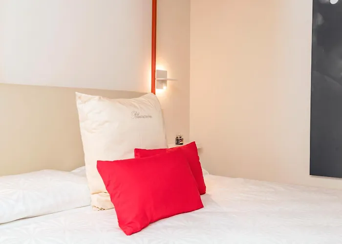 Guest house Spazio Pardo 4*